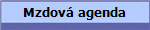 Mzdová agenda